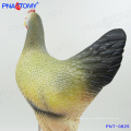 PNT-0825 Life size chicken and hen anatomical model